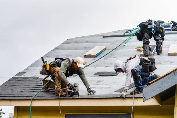 Professional Gutter Installation technician working in Onemo, VA